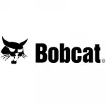 Home 49 bobcat