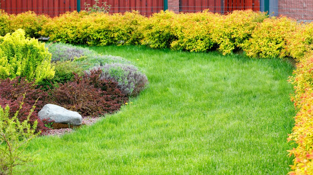 beautifully landscaped lawn