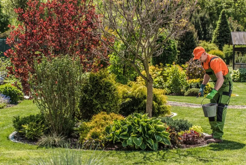 landscaper taking care of garden